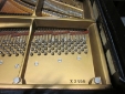 steinway__son_concert_grand_model_d_piano_1967_caseno_copy.jpg